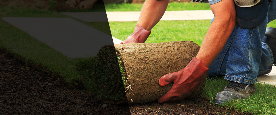 Whiting Landscapers